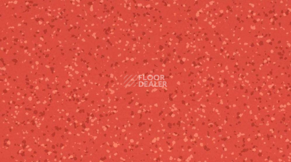 Линолеум Taralay Premium Compact Barazilia 4136 SAO LUIS фото 1 | FLOORDEALER